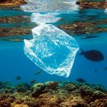 Source : National Geographic - Crédit : Mike Nelson/EPA/Alam