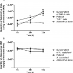 E. Maisonneuve, E. Cateau, N. Leveque, S. Kaaki, A. Beby-Defaux, et M.-H. Rodier, « Acanthamoeba castellanii is not be an adequate model to study human adenovirus interactions with macrophagic cells », PLOS ONE, vol. 12, no 6, p. e0178629, juin 2017