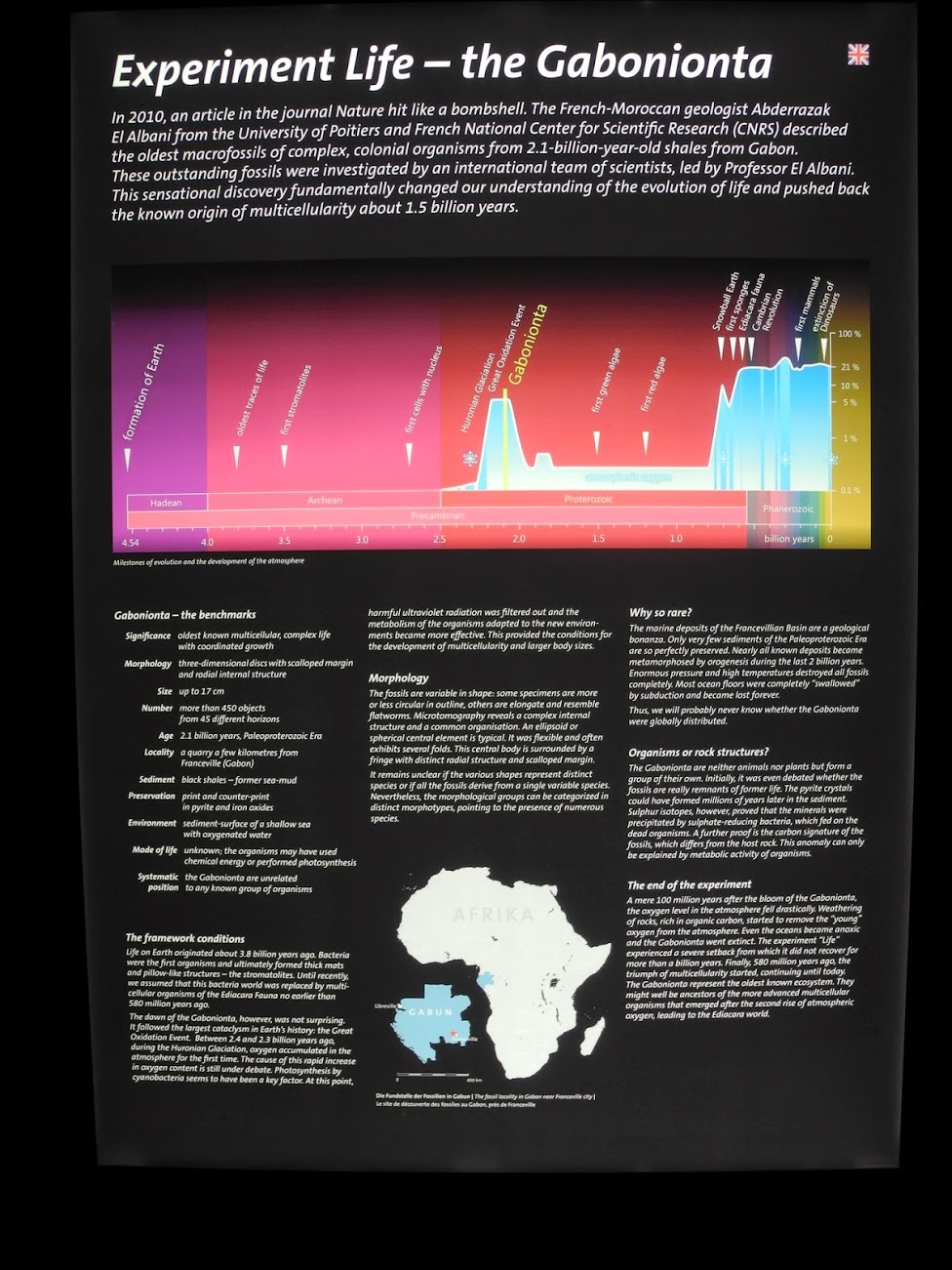 Exposition Gabonionta NHM - Wien 2014