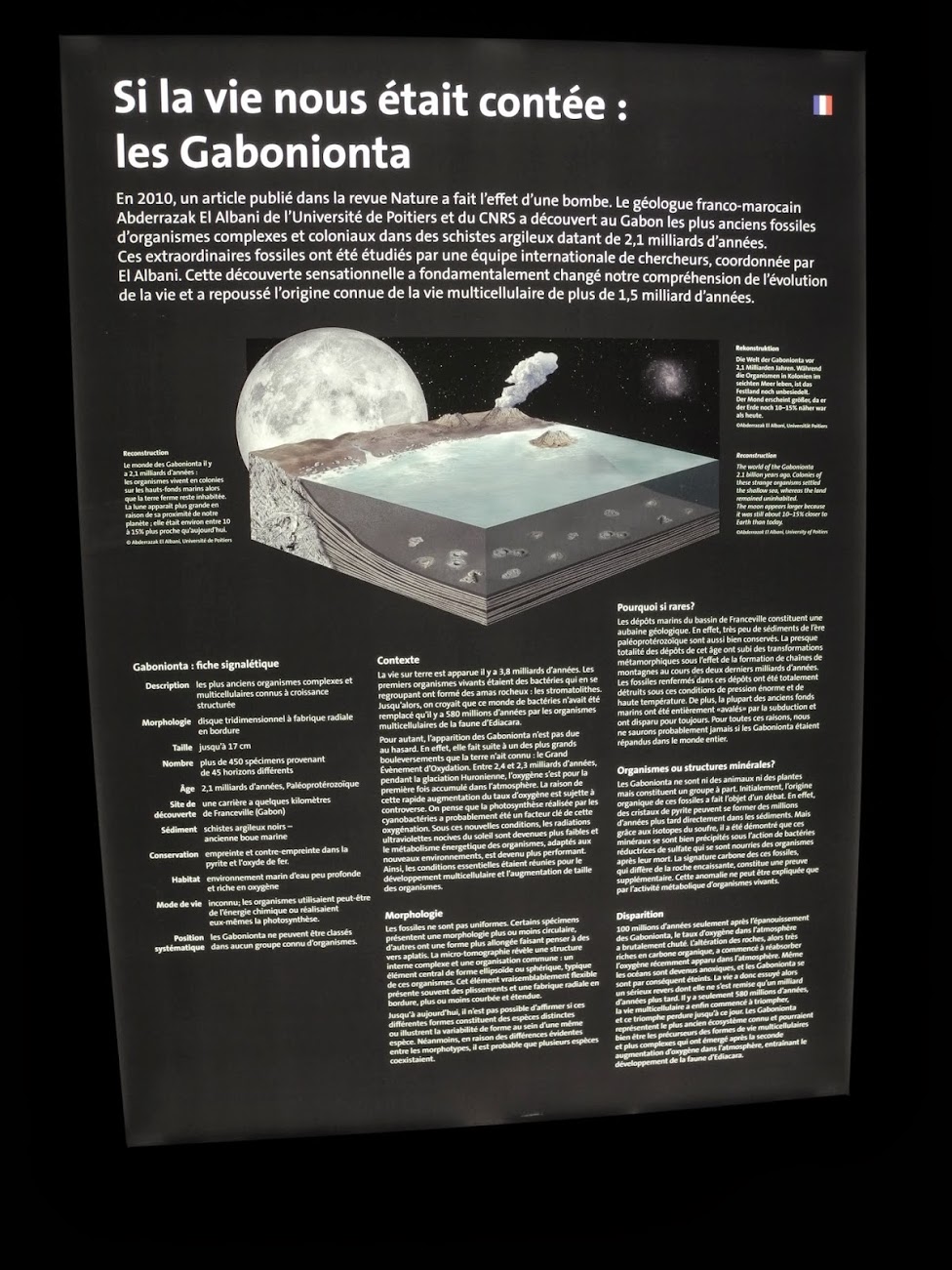 Exposition Gabonionta NHM - Wien 2014