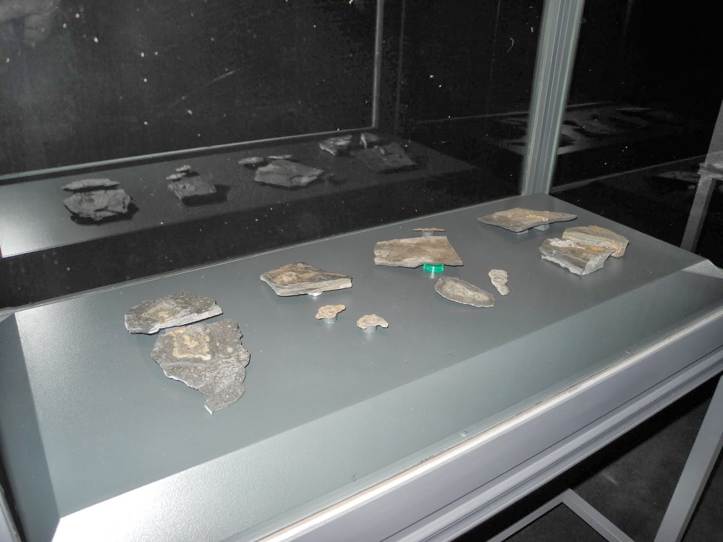 Exposition Gabonionta NHM - Wien 2014