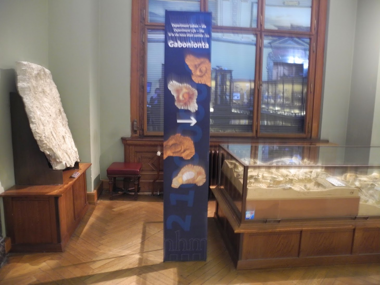 http://blogs.univ-poitiers.fr/abderrazzak-el-albani/valorisation-des-collections/exposition-vienne-autriche-2014/