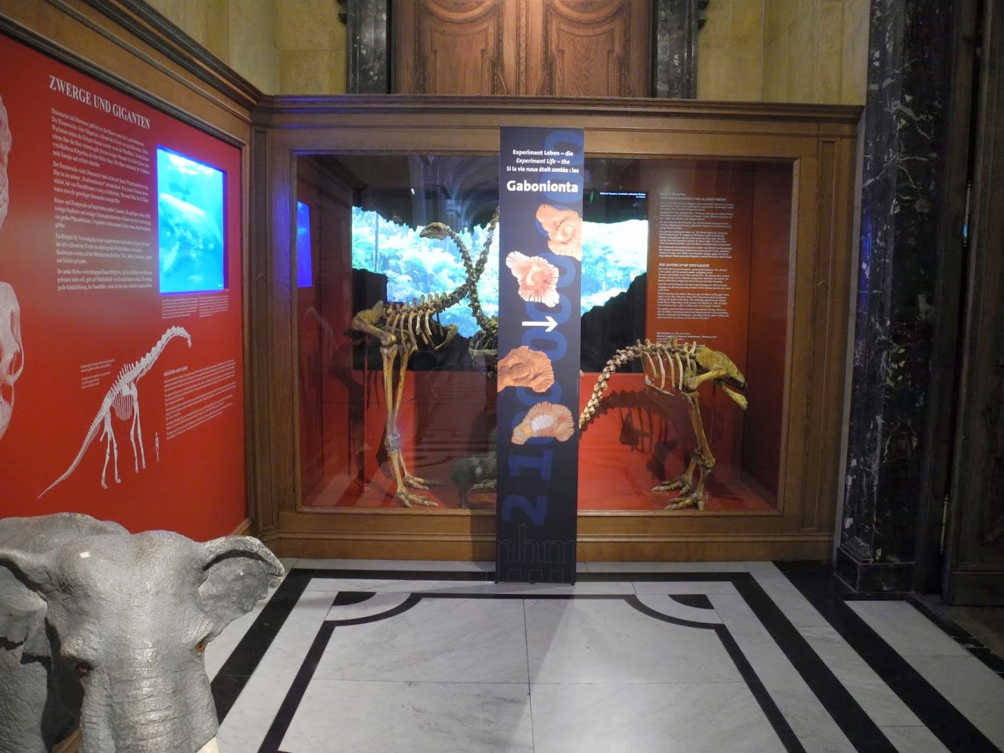 http://blogs.univ-poitiers.fr/abderrazzak-el-albani/valorisation-des-collections/exposition-vienne-autriche-2014/