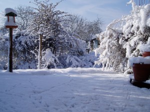 Neige sur Poitiers (2006)
