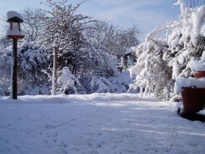 Neige sur Poitiers (2006)