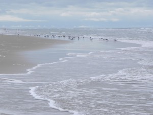 plage