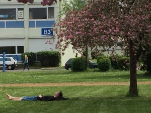 sieste campus