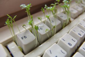 "Cress keyboard computer spice-15084" / image de Dirk (Beeki®) Schumacher / depuis le site Pixabay / (Free for commercial use - No attribution required)
