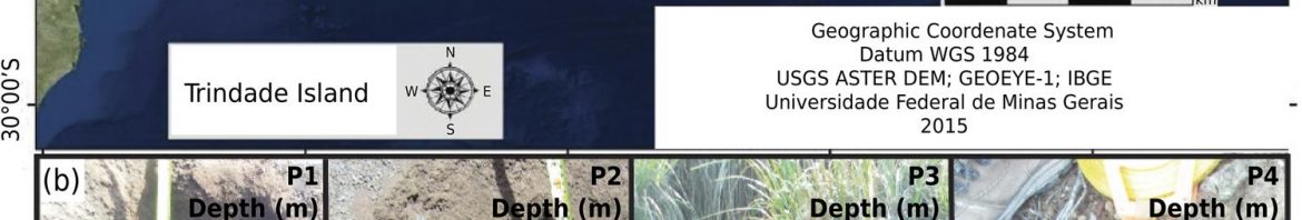 A. C. C. Mateus et al., « Non-allophanic Andosols of Trindade Island, south Atlantic: a new soil order in Brazil », Revista Brasileira de Ciência do Solo, vol. 44, 2020